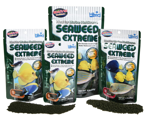 group-of-seaweed-extreme.jpg