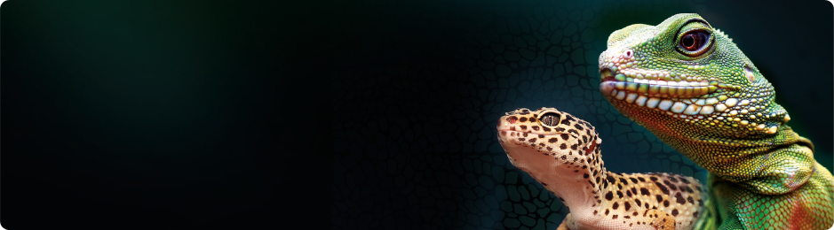 herptile-banner.png